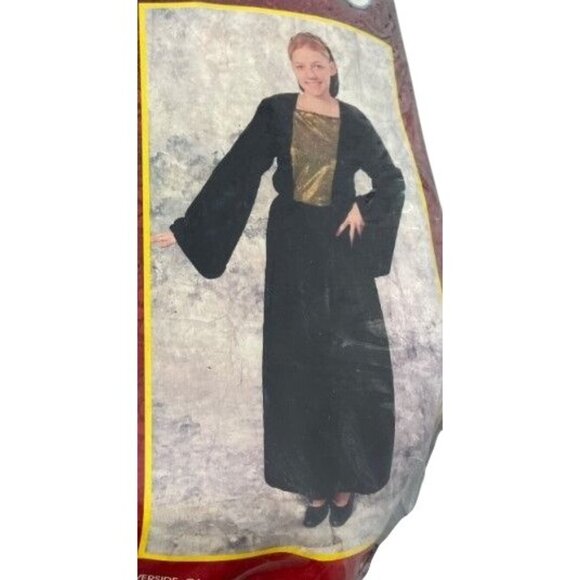 Medieval Maiden Costume Alexanders Size Medium Green Gold Dress NEW - Picture 1 of 7